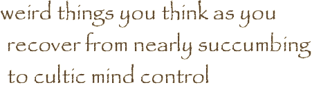 weird things you think as you recover from nearly succumbing to cultic mind control